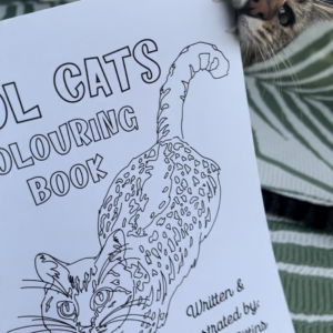 Cool Cats Colouring Book