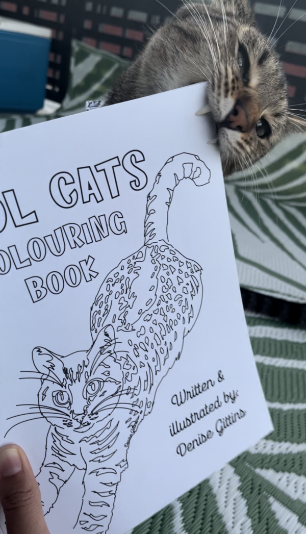 Cool Cats Colouring Book