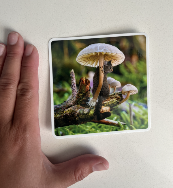 Mushroom Cats: Be Cool Peekaboo
