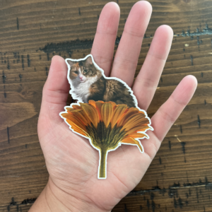 Flower Cats: Ripley in a Sunflower