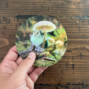 Mushroom Cats: Holographic Ripley