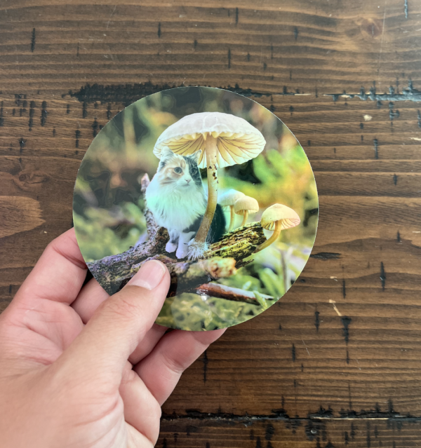 Mushroom Cats: Holographic Ripley